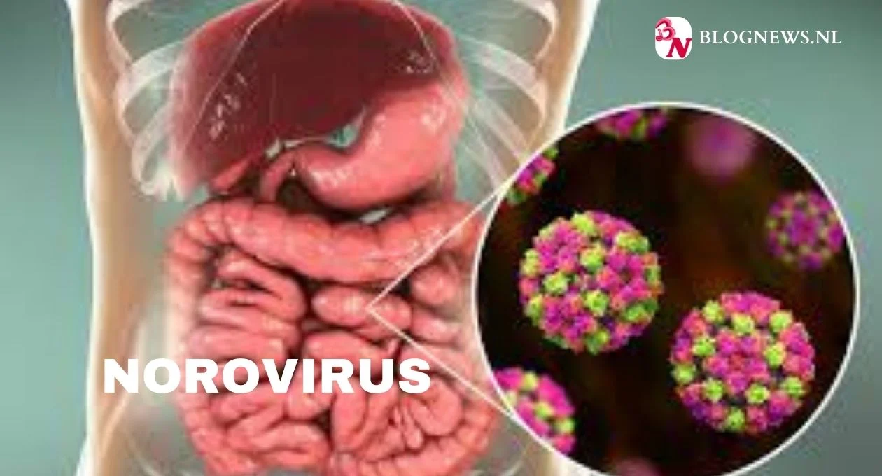 norovirus