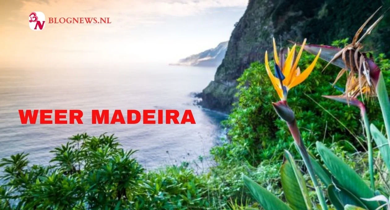 weer madeira